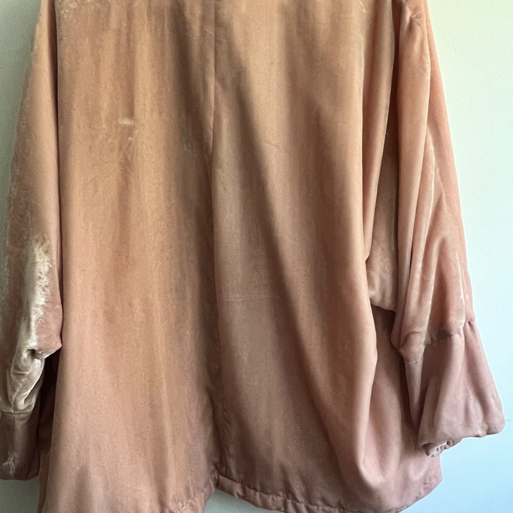Velvet jacket - Picture 3 of 3